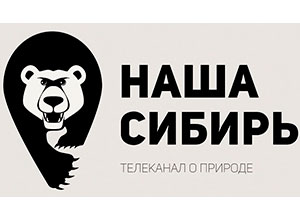 В РФ готовится к запуску новый телеканал в формате 4K